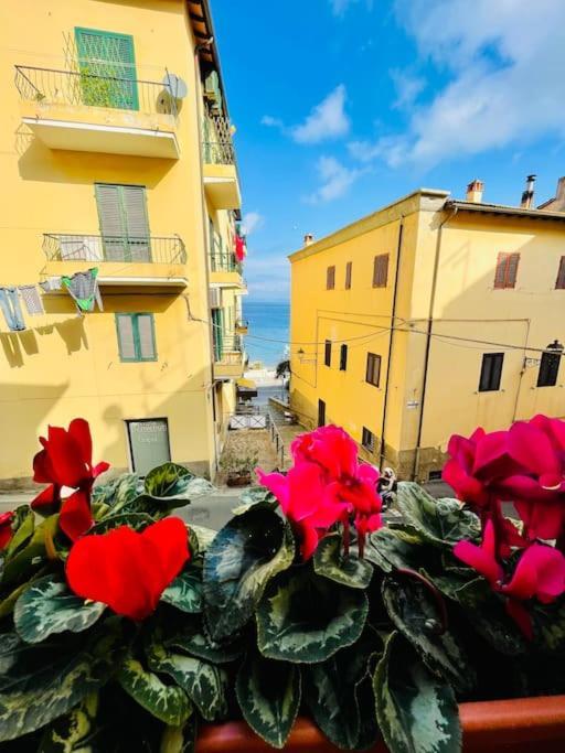 Villa Maddy House - 50 Mt Dal Mare Porto Santo Stefano  Exterior foto