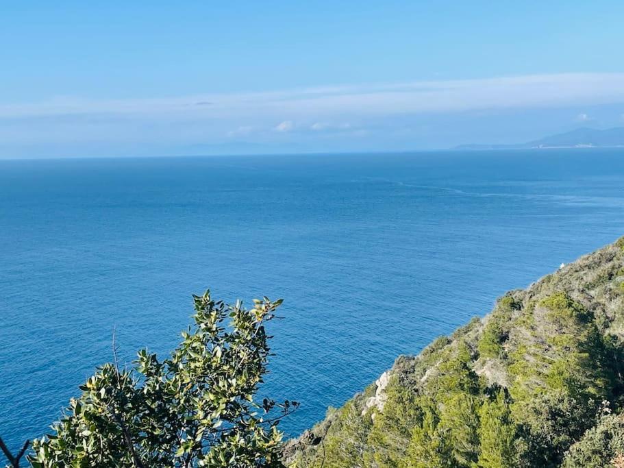 Villa Maddy House - 50 Mt Dal Mare Porto Santo Stefano  Exterior foto